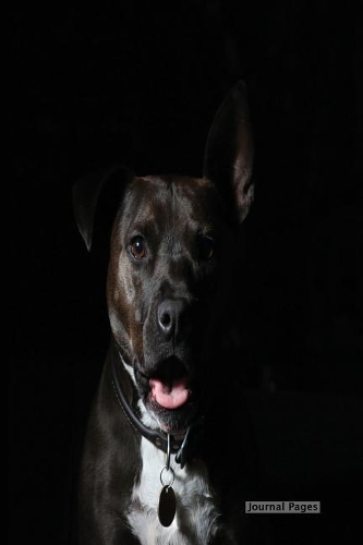 Journal Pages - Midnight Dog (Journal Notebook): 6" x 9", Lined Journal, Durable Cover,150 Pages For Writing (Journal Notebook)