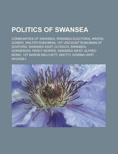 Politics of Swansea