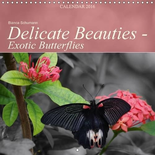 Delicate Beauties - Exotic Butterflies 2016