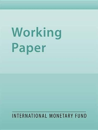 Assessing the Impact and Phasing of Multi-Year Fiscal Adjustment