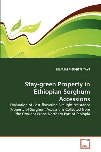 Stay-green Property in Ethiopian Sorghum Accessions