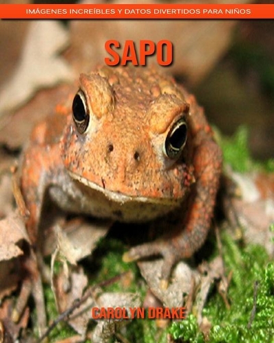 Sapo