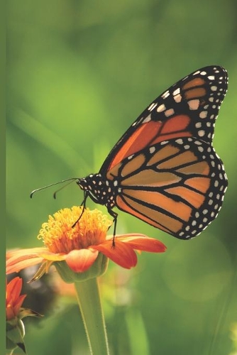 Butterfly Journal