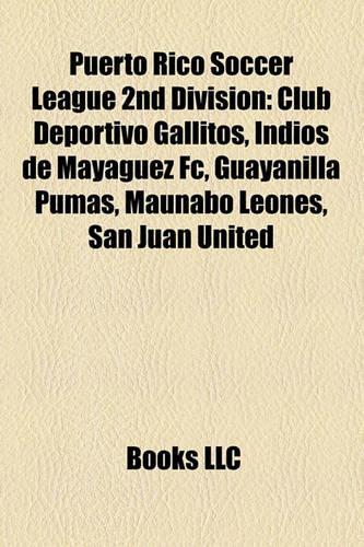 Puerto Rico Soccer League 2nd Division
