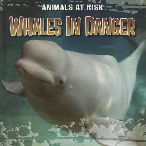Whales in Danger: (Animals at Risk)
