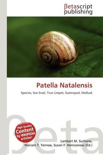 Patella Natalensis