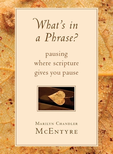 What's in a Phrase?: Pausing Where Scripture Gives You Pause(English)