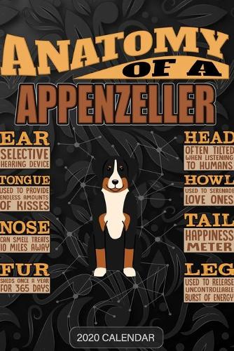 Anatomy Of A Appenzell Cattle Dog