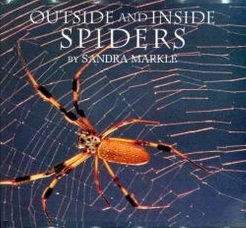 Outside and inside Spiders