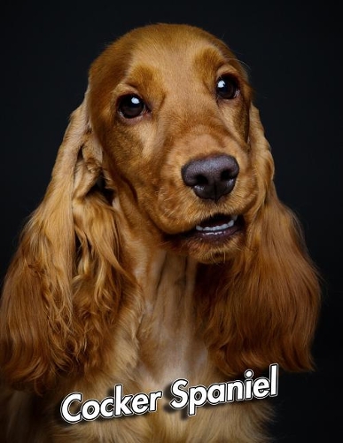Cocker Spaniel: 2020 Weekly Calendar 12 Months 107 pages 8.5 x 11 in. Planner Diary Organizer Agenda Appointment Half Spread Wide Ruled Pages