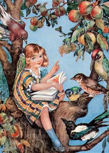 Girl Reading to Birds Greeting Card