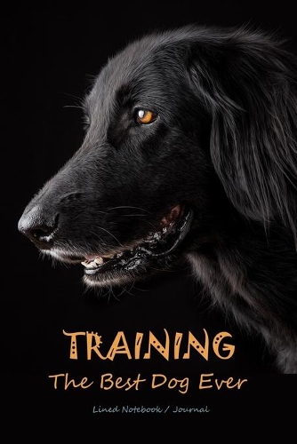 Training the best dog ever