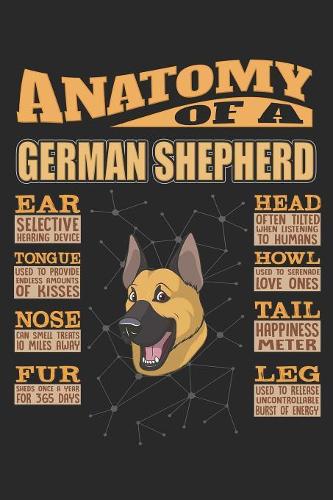 Anatomy Of A German Shepherd