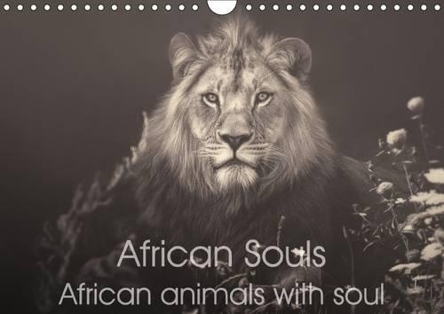 African Souls African animals with soul 2015: Enchanting animal souls of african nature(Calvendo Animals)