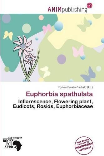 Euphorbia Spathulata: (English)