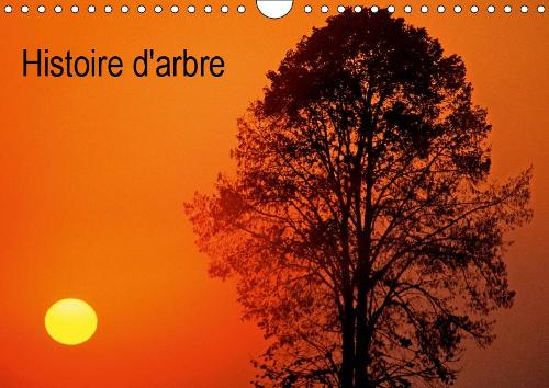 Histoire d'arbre 2019