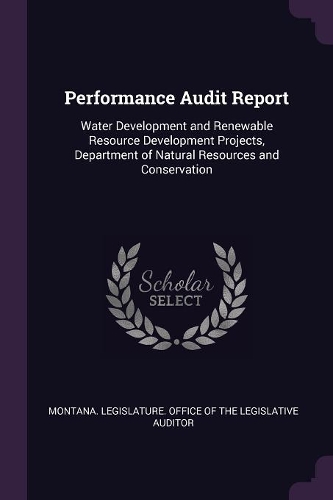 Performance Audit Report
