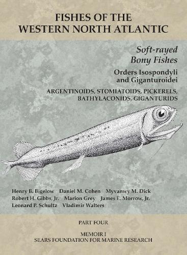 Soft-rayed Bony Fishes: Orders Isospondyli and Giganturoidei
