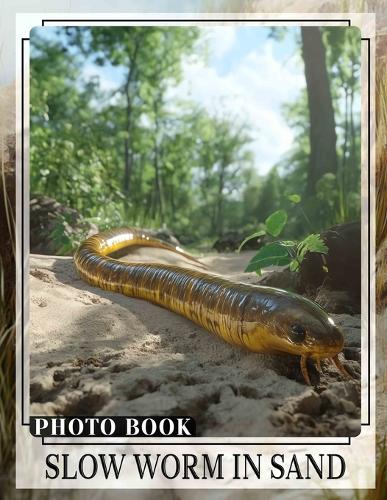 Slow Worm in Sand Photo Book