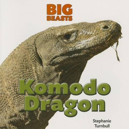 Komodo Dragon: (Big Beasts)