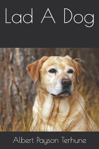 Lad A Dog