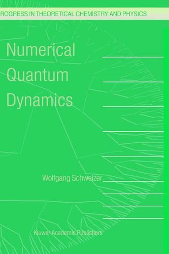 Numerical Quantum Dynamics: (Progress in Theoretical Chemistry and Physics)
