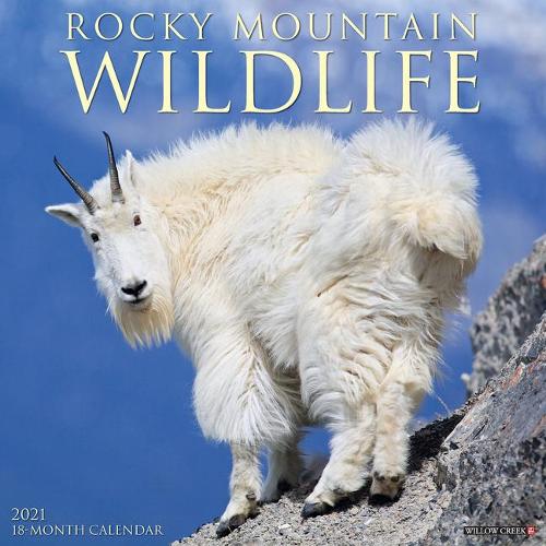Rocky Mountain Wildlife 2021 Wall Calendar