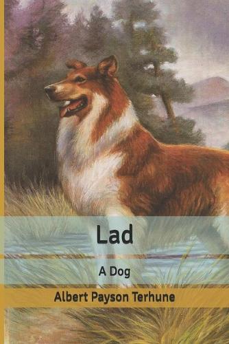 Lad: A Dog