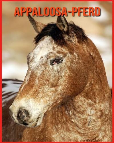 Appaloosa-Pferd: Sagenhafte Fotos & Buch mit lustigem Wissen über Appaloosa-Pferd für Kinder