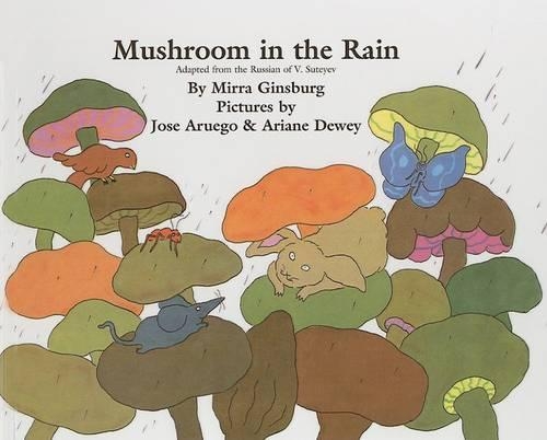 Mushroom in the Rain