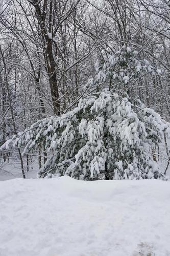 Lovely Winter Weather Journal