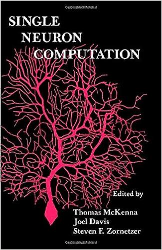 Single Neuron Computation: (Neural Networks: Foundations to Applications)