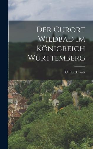 Der Curort Wildbad im Königreich Württemberg