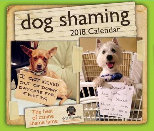 Dog Shaming 2018 Day-to-Day Calendar