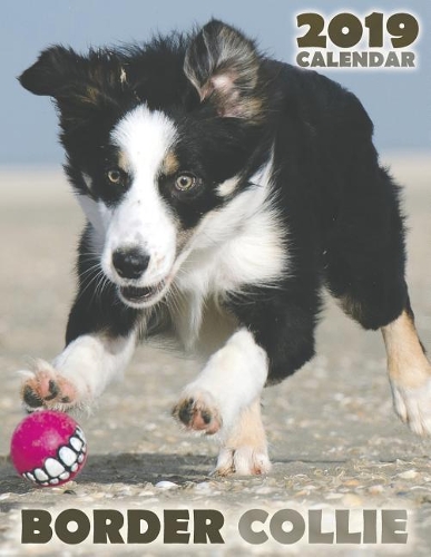 Border Collie 2019 Calendar