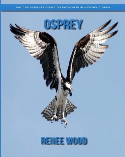 Osprey
