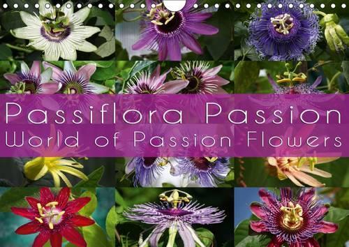 Passiflora Passion - World of Passion Flowers / UK-Version 2015: Discover 12 fascinating portraits of passion flowers(Calvendo Nature)