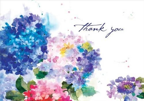 Ty Note Hydrangeas