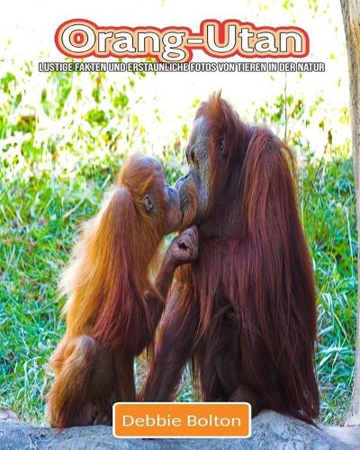 Orang-Utan