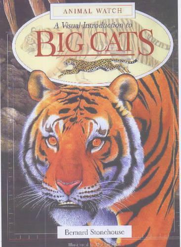 A Visual Introduction to Big Cats