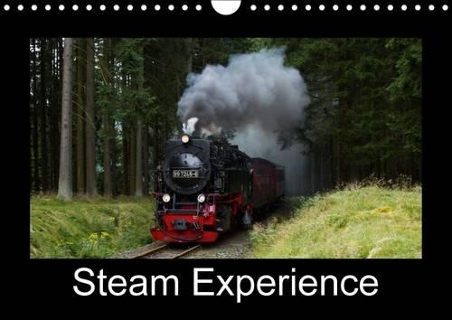 Steam Experience 2015