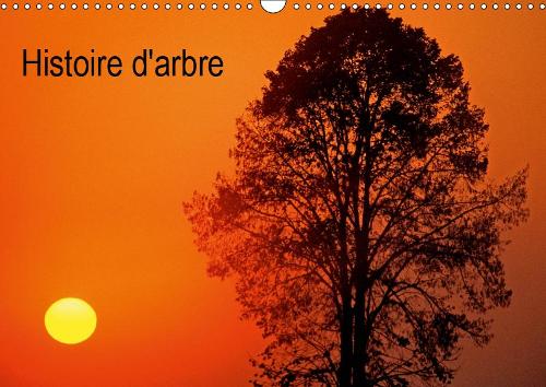 Histoire d'arbre 2019