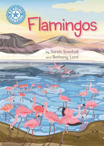 Reading Champion: Flamingos: Independent Reading Non-Fiction Blue 4(Reading Champion)