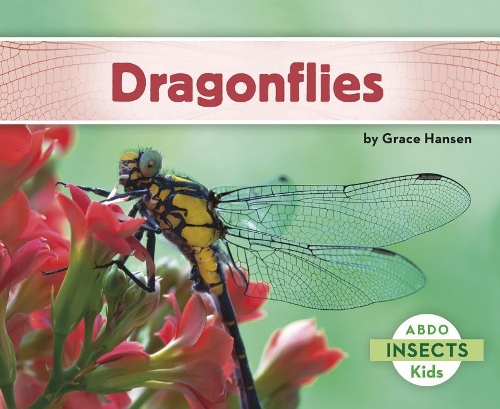 Dragonflies: (Insects)