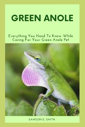 Green Anole