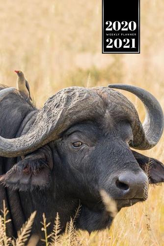 Buffalo Bison Yak Gaur Week Planner Weekly Organizer Calendar 2020 / 2021 - Deep in Bushes
