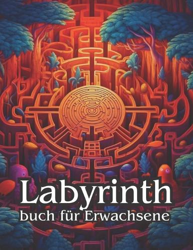 Labyrinth buch für Erwachsene