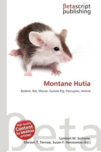 Montane Hutia