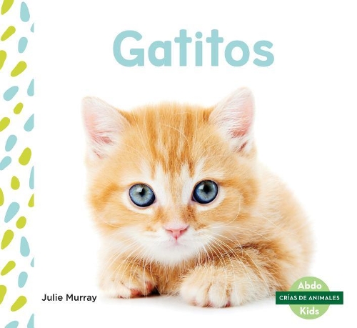 Gatitos / Kittens