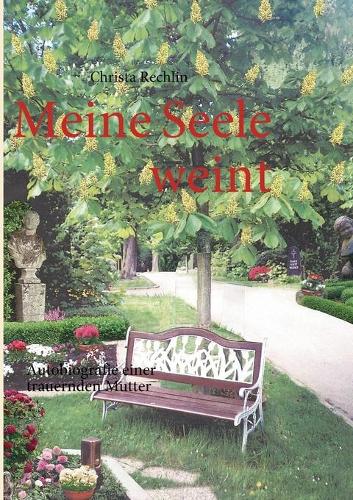 Meine Seele weint: Autobiografie einer trauernden Mutter(German)